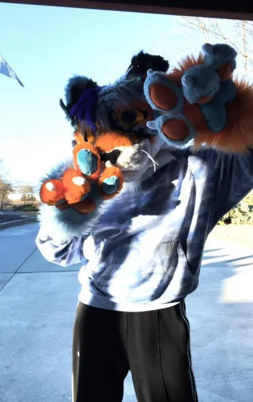 Thumbnail Spotted Tiger Reactions: Furry Fun by Left-Paramedic-6347