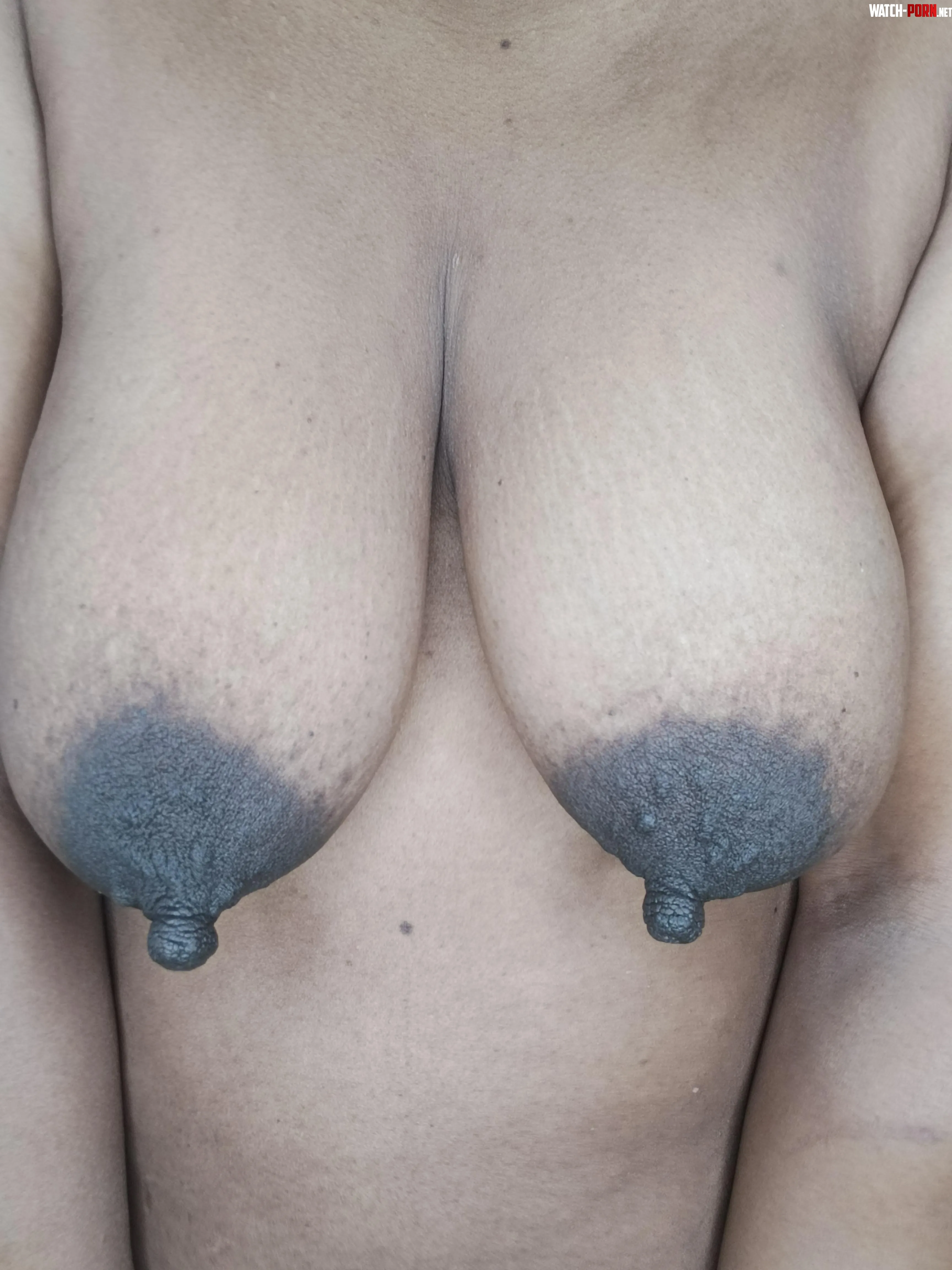 How long would you suck my saggys by KaceyAreola