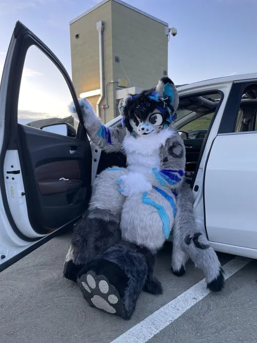 Thumbnail Hop Into the Furry World | Cheddaruyy
