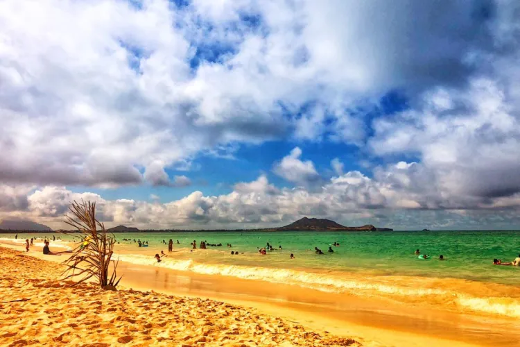Thumbnail Discover Kailua Beach Park in Oahu | Zestyclose_Juice5049
