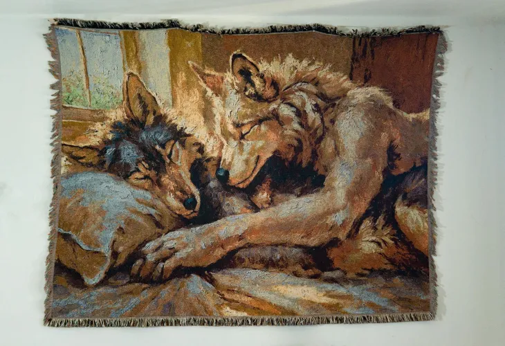 Thumbnail Regal Artistry: Furry Queen Blanket Revelation | 0-disgustipated