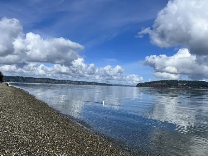 Thumbnail Explore the Scenic PNW US Beaches | cassthesassmaster