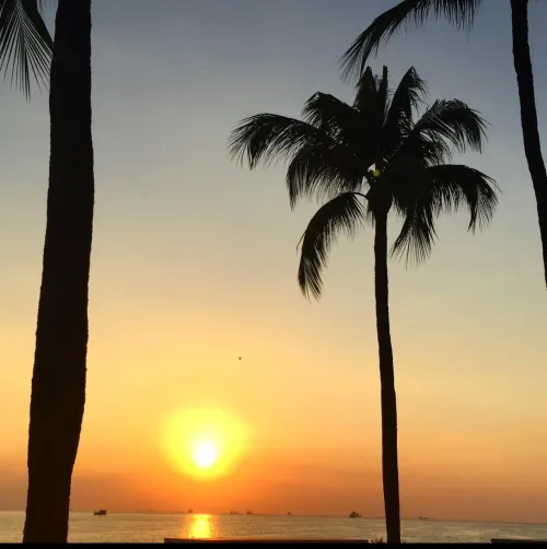 Thumbnail Manila Bay: A Must-See Destination by Low-Physics-6073