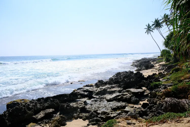 Thumbnail Midigama Beach Sri Lanka Travel Memoirs by meshaun_journeys