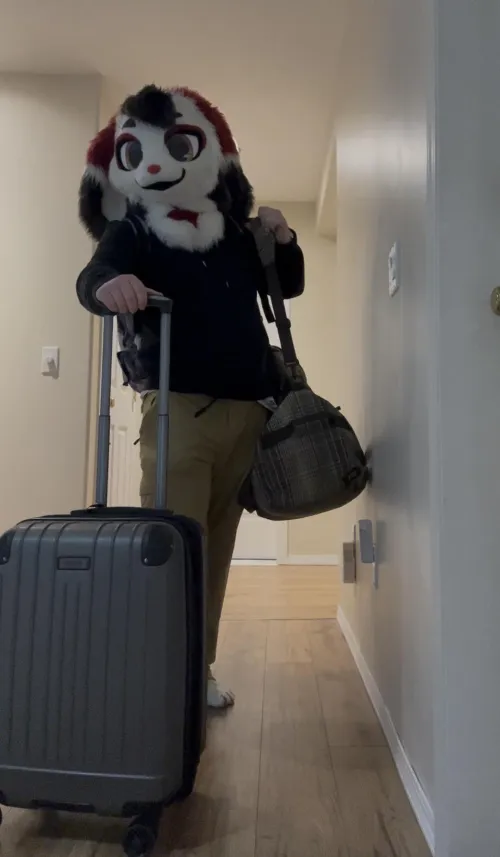 Thumbnail Vancoufur Adventure Begins: Cosplay Enthusiast Delight | Womkaz