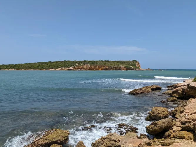 Thumbnail Island Paradise: Exploring Puerto Rico Beach | SnooFloofs3095