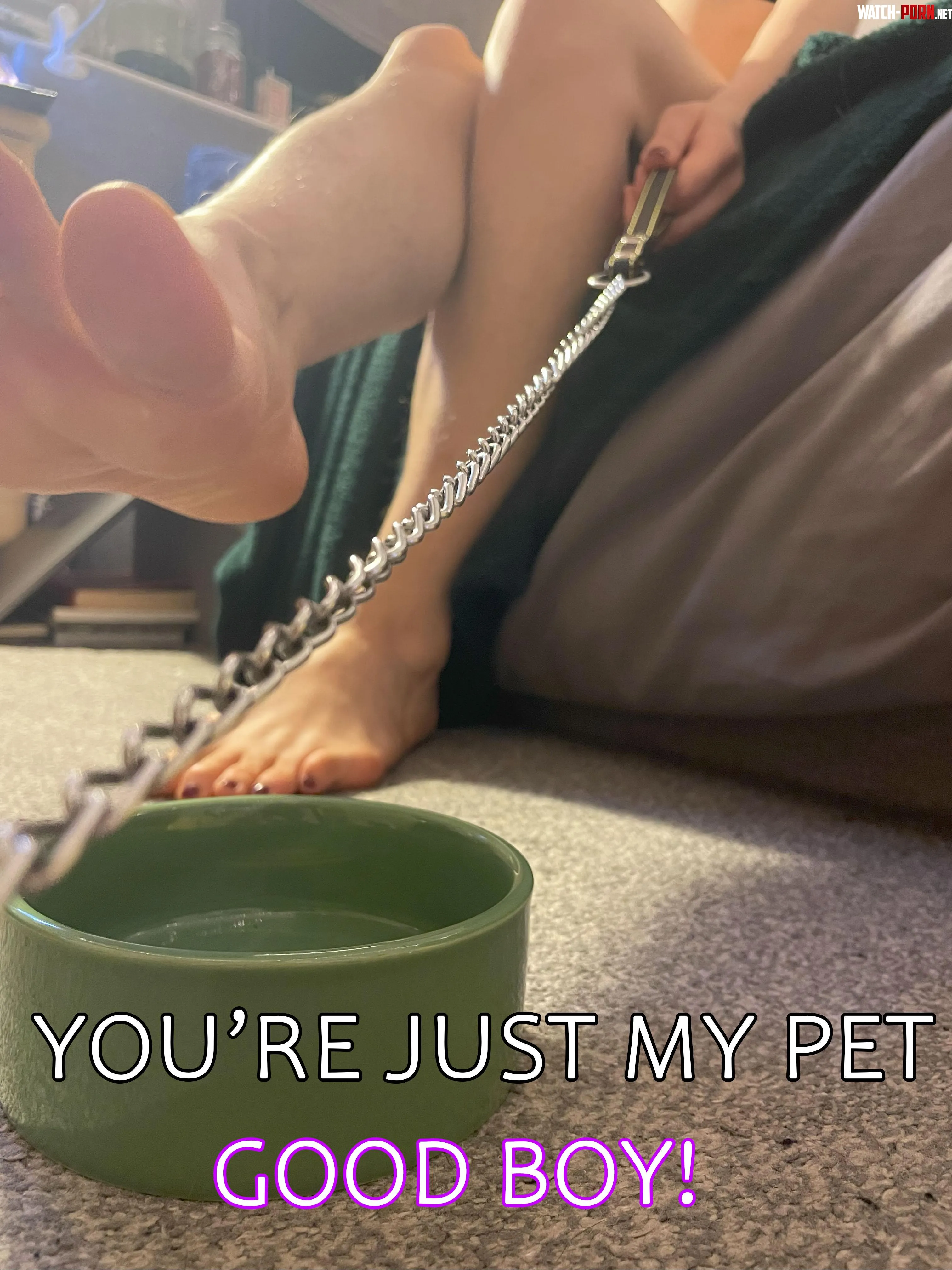 Youre just my good dog arent you hehe by queen-gabby