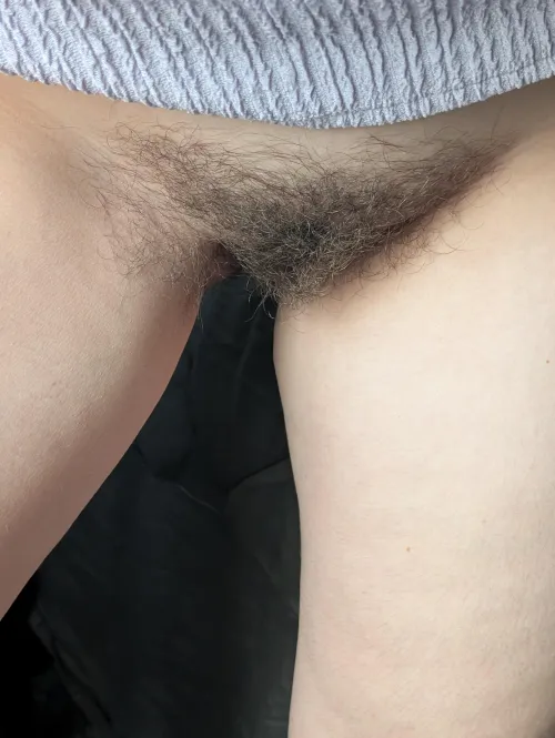 Thumbnail Wild Bush Wonders: To Trim or Not to Trim? by SisterSleeze