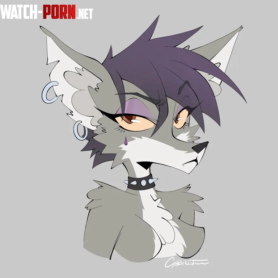 Some wolf character practice art by me by mcharltonq