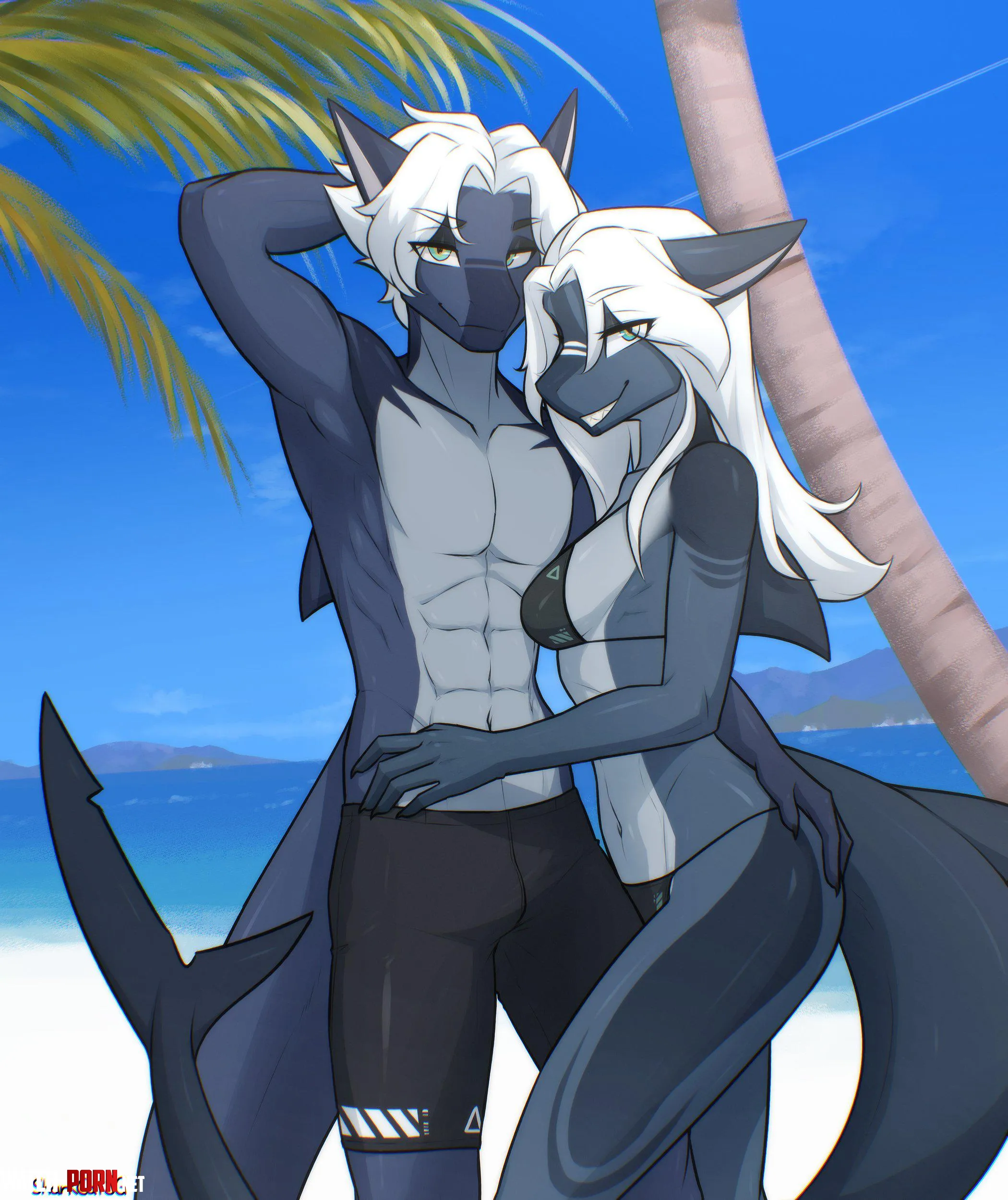 Shark Couple MF SharkCatSG by pinkynoseddd