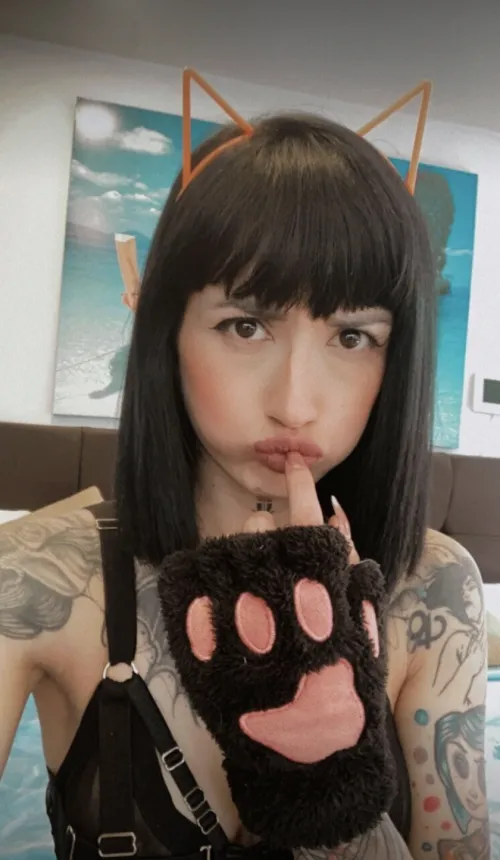 Thumbnail Coxxoez Presents: Your Ultimate Petplay Companion - The Pretty Kitty