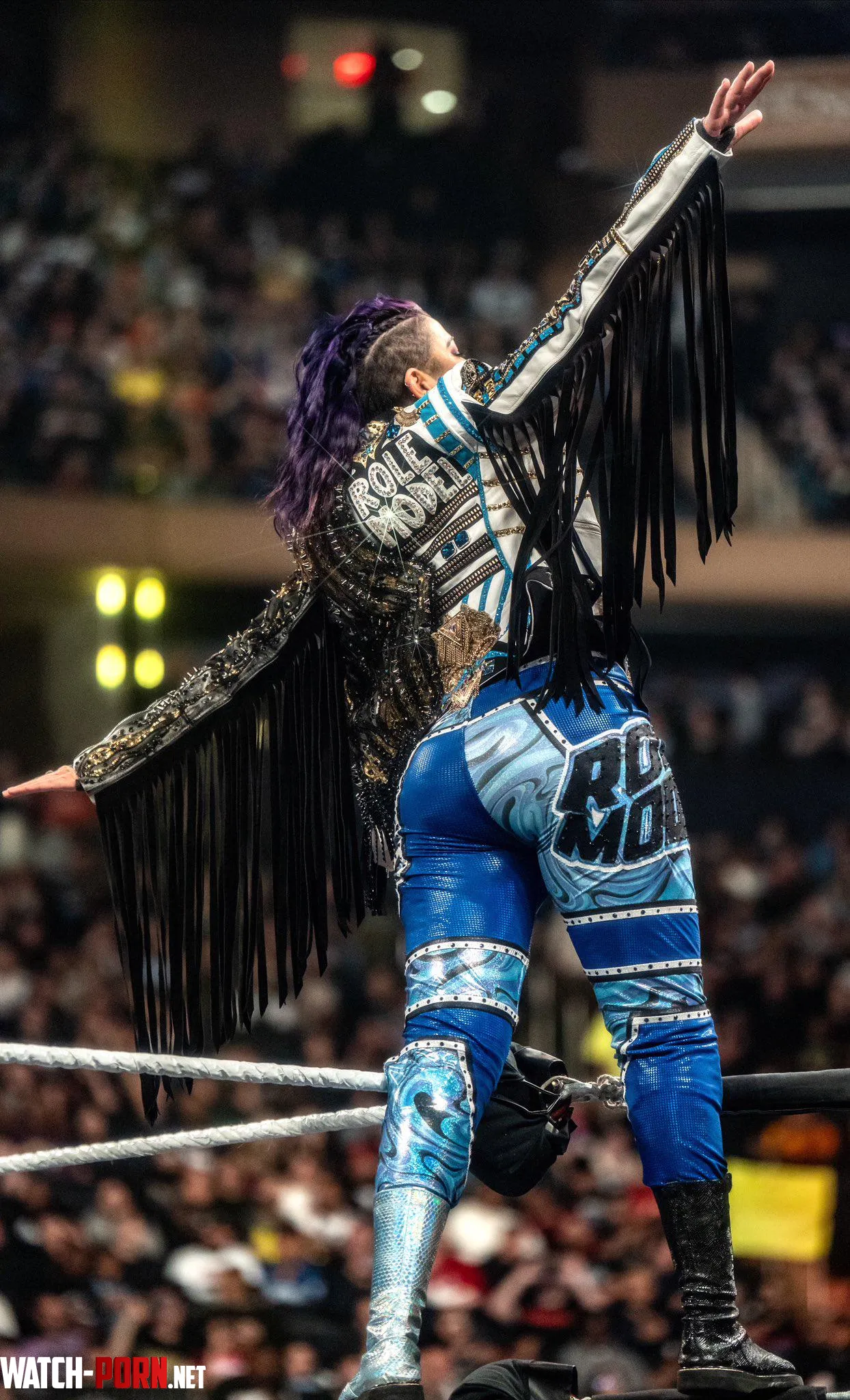 Bayley by CyberFrenetic