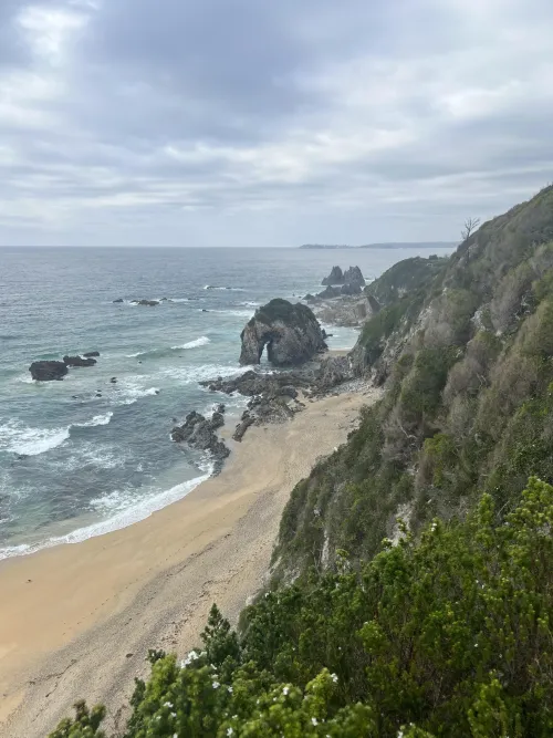 Thumbnail Horsehead Rock NSW: A Coastal Beauty by speakteeth