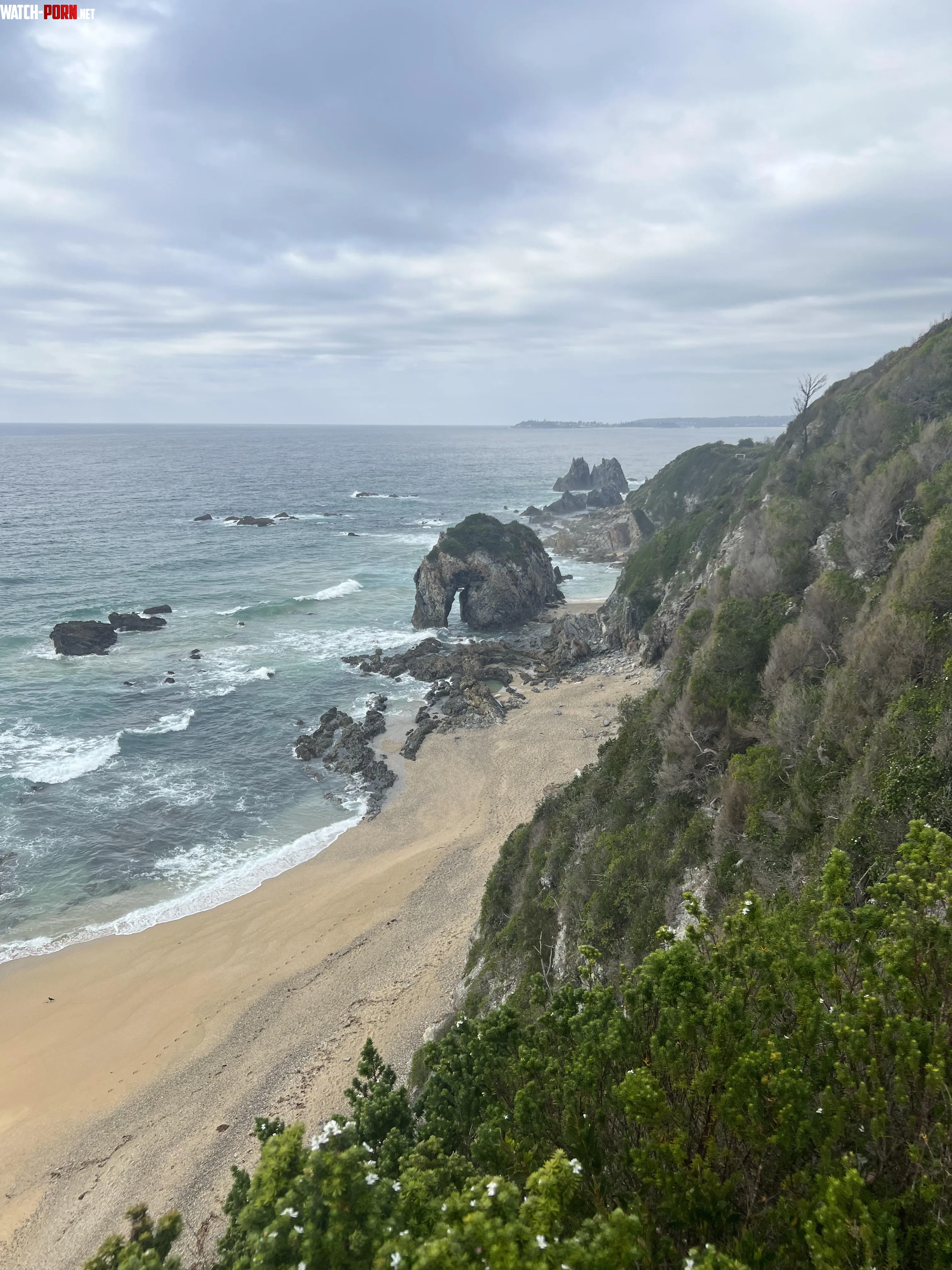 Horsehead Rock South Coast NSW by speakteeth