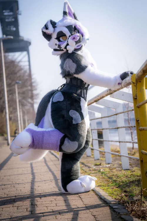 Thumbnail Puppy Needs Attention | Baileystarpup's Furry Content