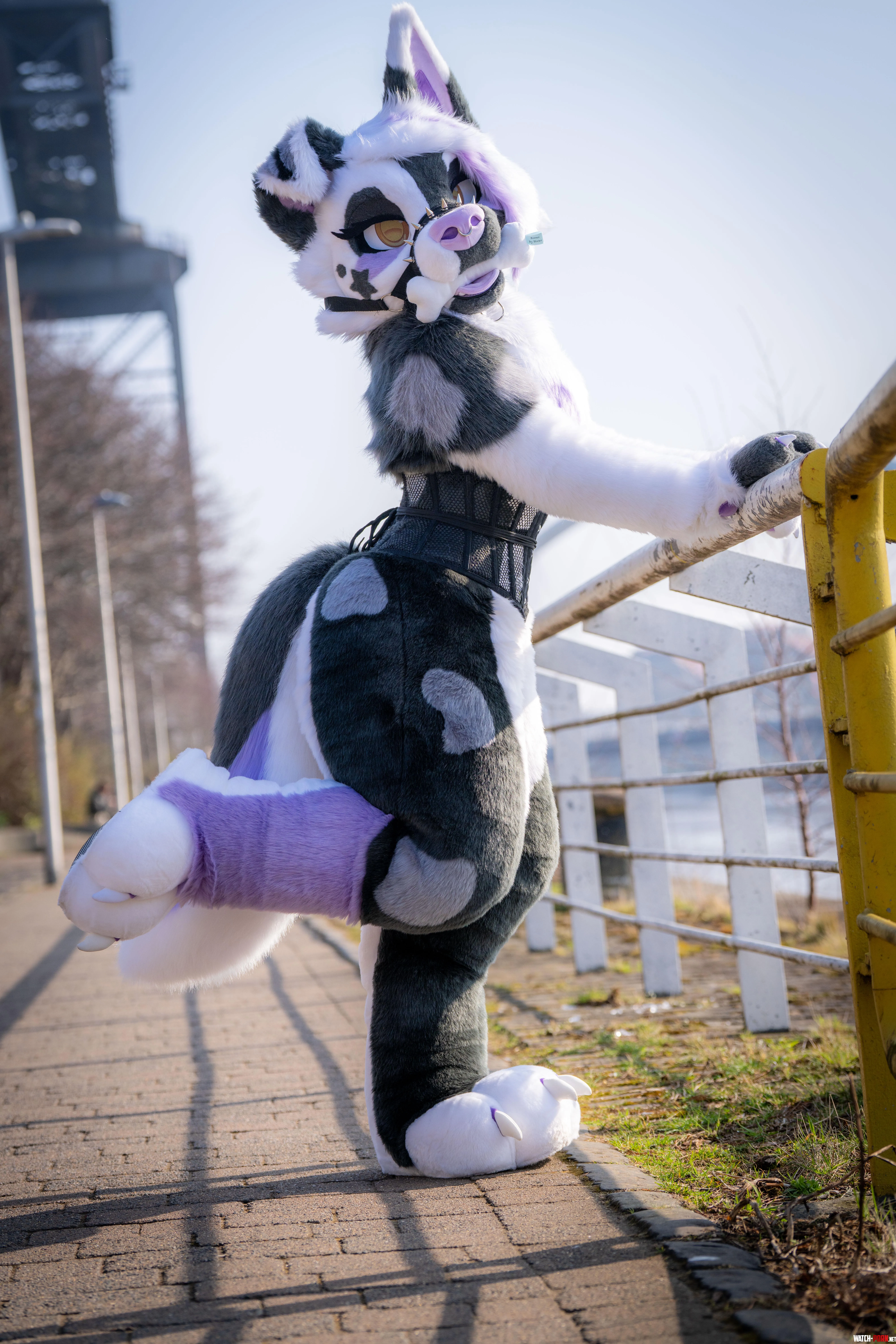 Puppy got a bone  by Baileystarpup