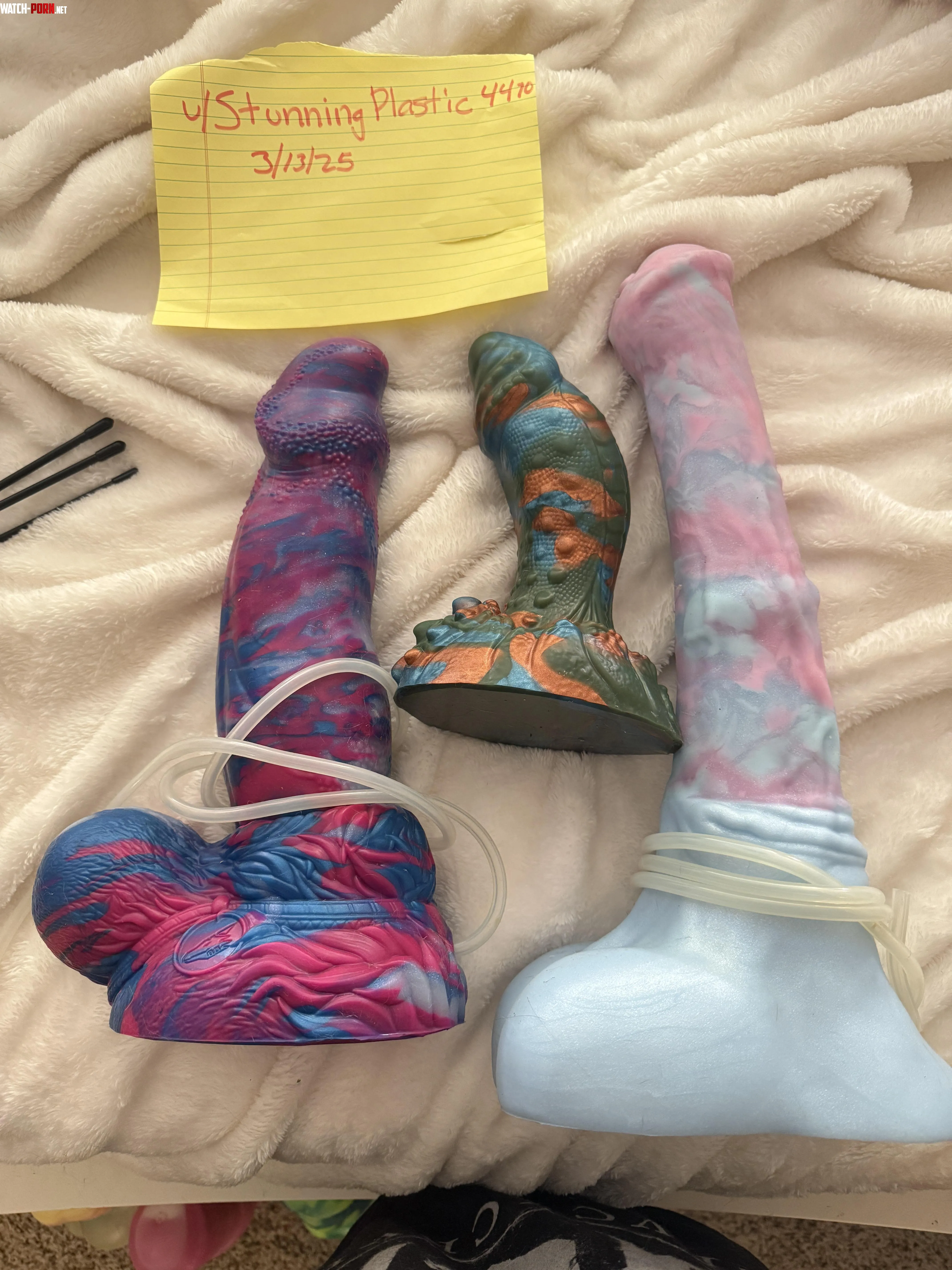 WTS BD by StunningPlastic4470