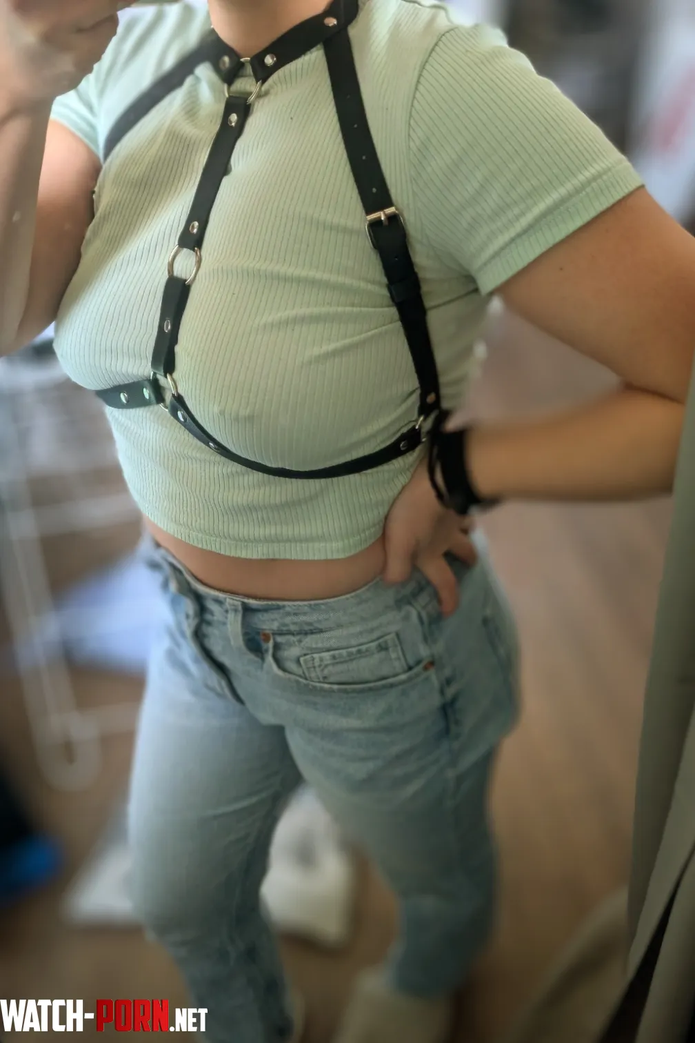 I love this cute harness by prettipetiteasian
