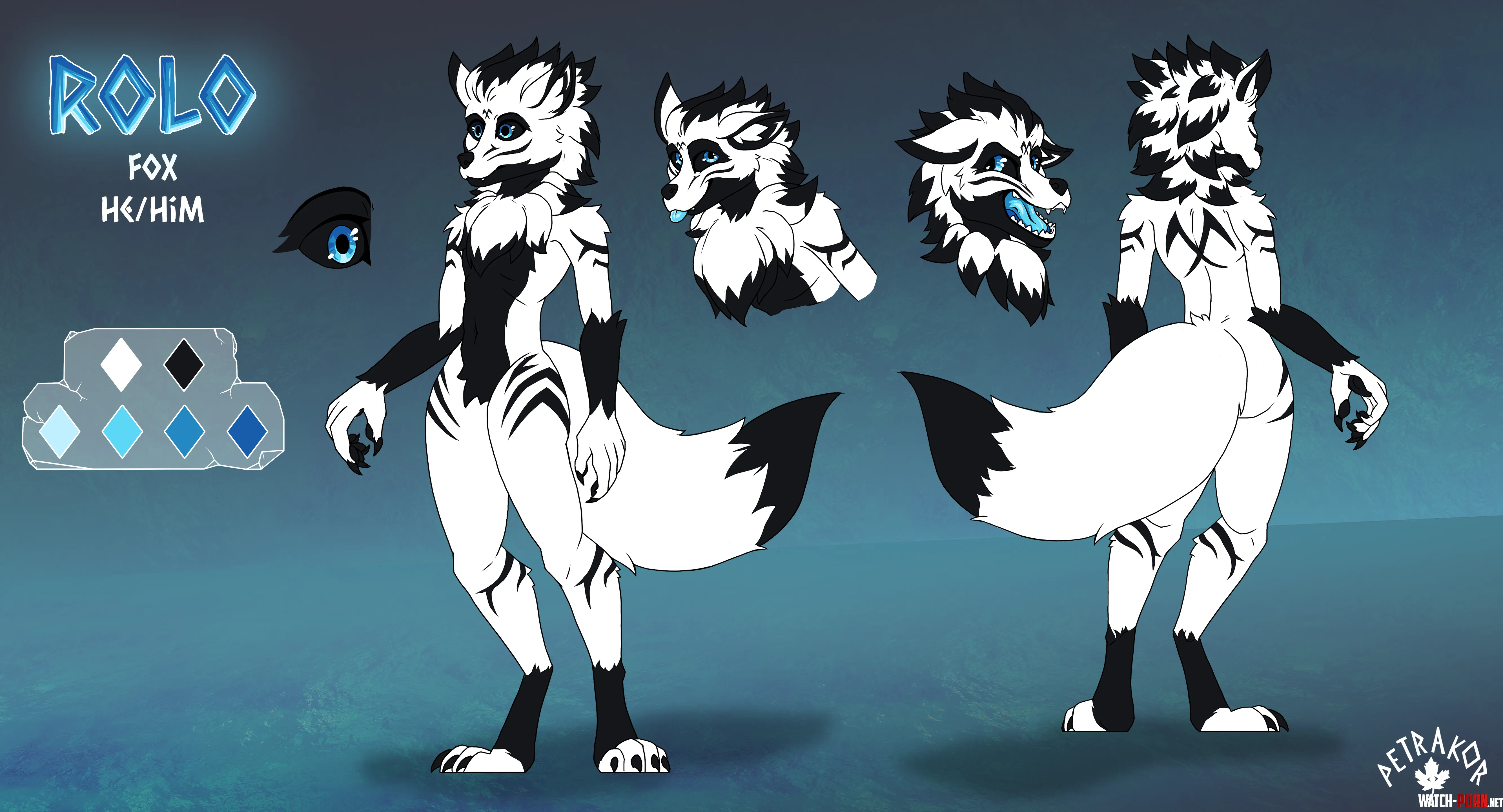 Friend of mine didnt have a ref sheet so I made him one as a bday gift 3 petrakorbskysocial by Petrakor