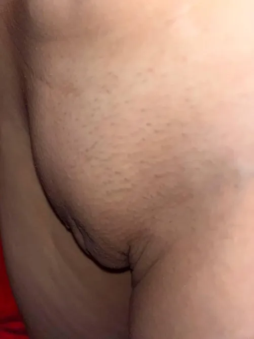 Thumbnail latinadoit's Explanation of Pure Petite Mounds