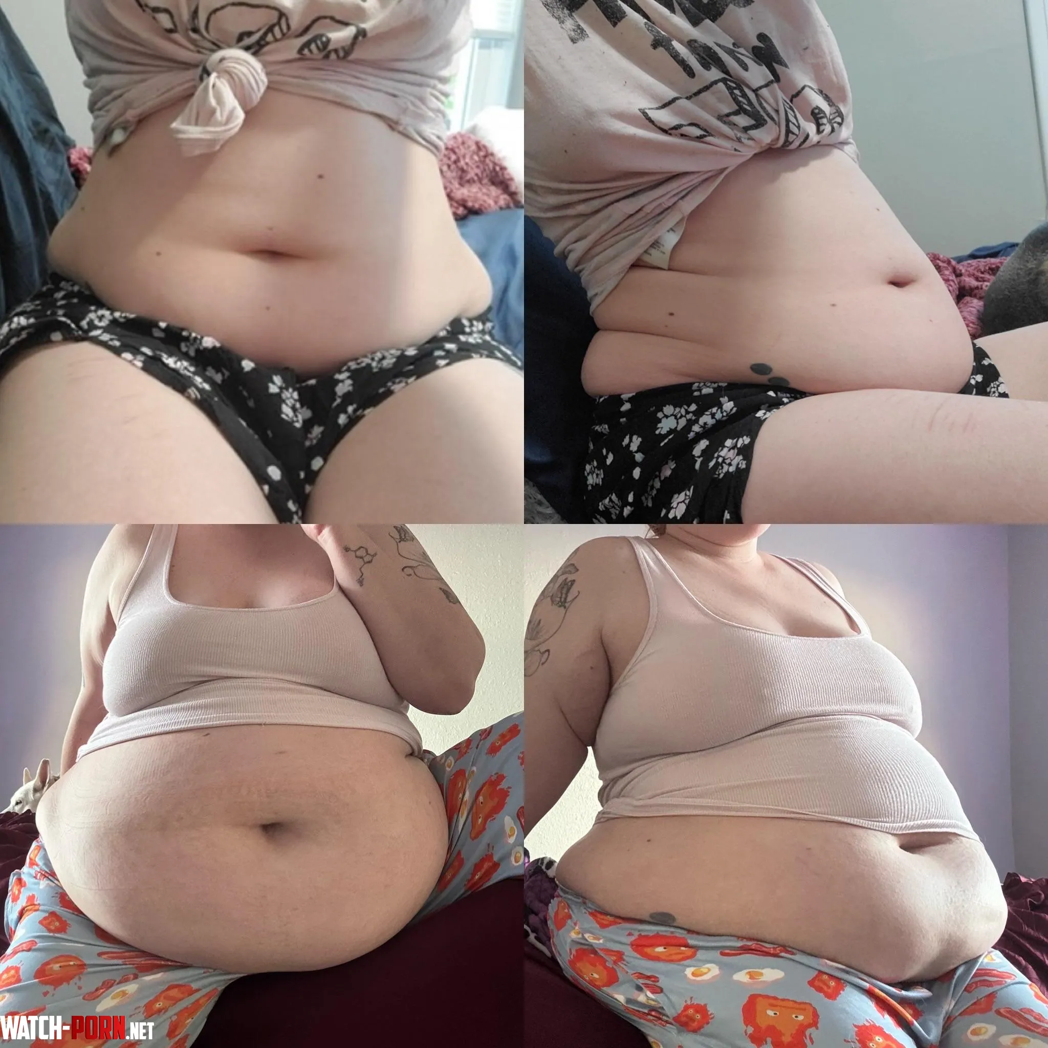 6 months into gaining vs 4 years by Plumpmeup6224