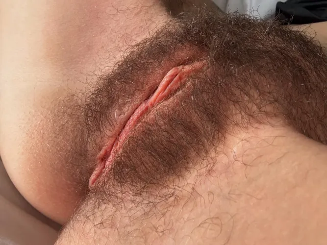 Thumbnail Embracing Natural Beauty: Appreciating CuddlyB in the Vagina Category