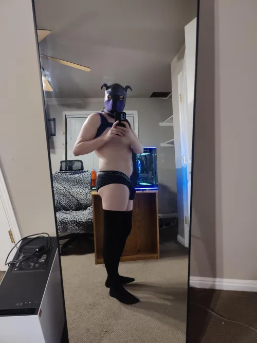 Thumbnail Sub_Pupper's Love for Petplay: Embracing Thigh Highs