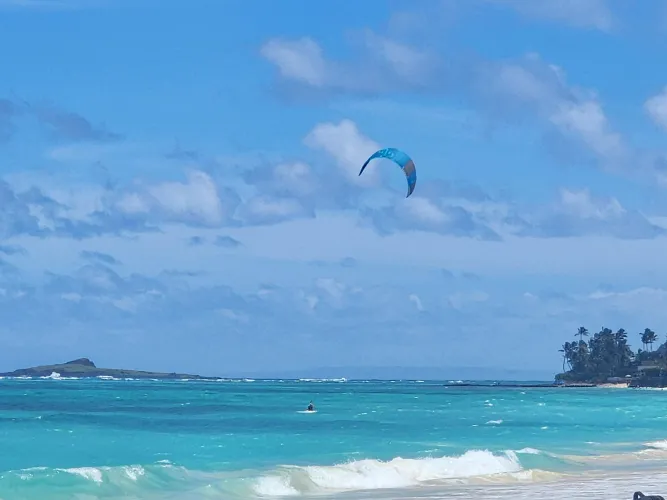 Thumbnail Experience the Thrill of Kitesurfing at the Beach by littledogmom1