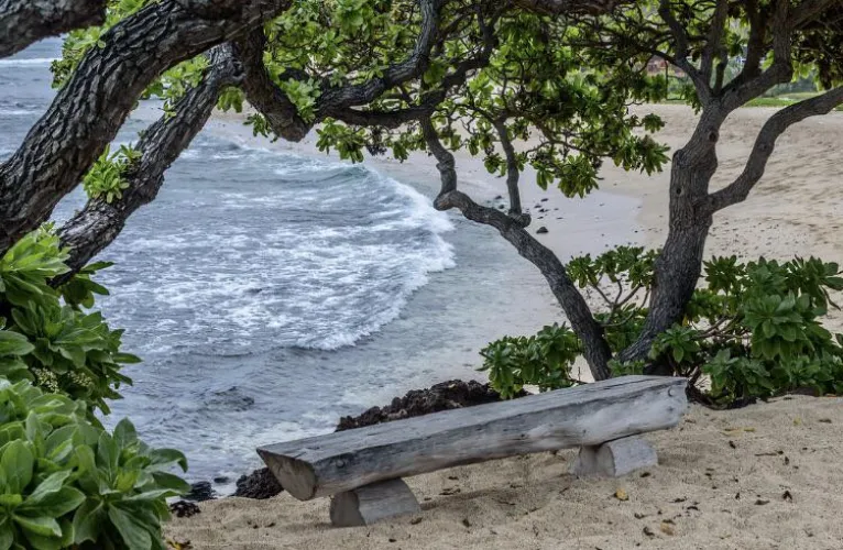 Thumbnail Discover the Beauty of Hawaii Beach by colapepsikinnie