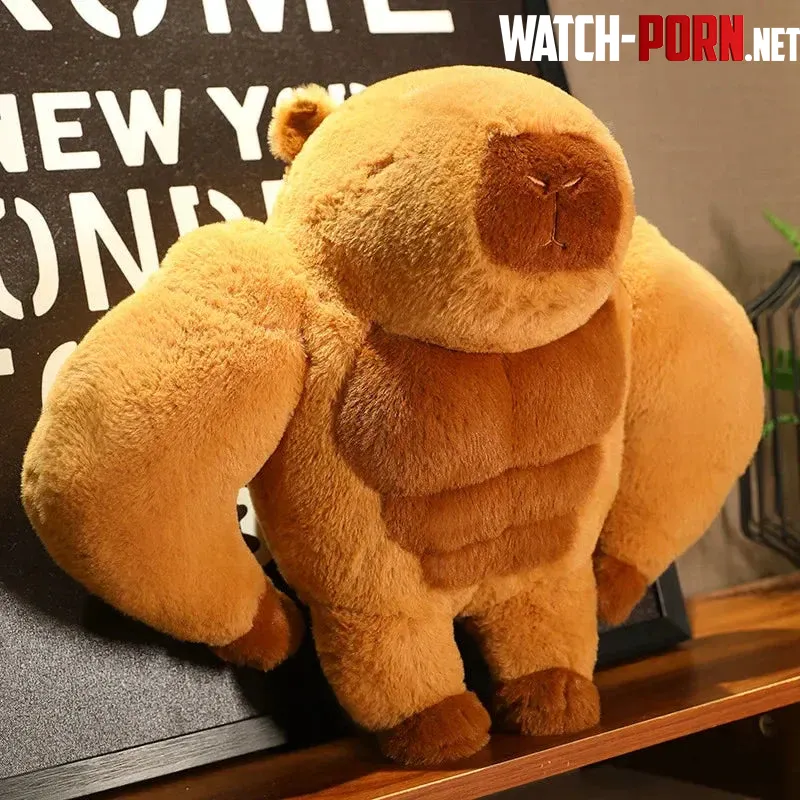 I was talking about this sub with some friends and somehow it resulted with us finding out about capyBARA by sno4wy