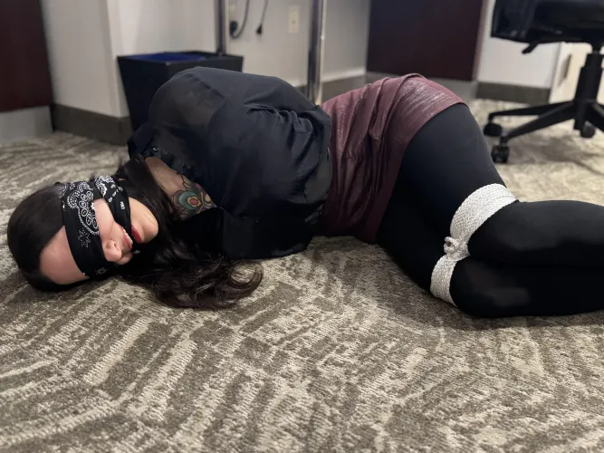 Thumbnail ellixraven's Cry for Help: A Damsel in Distress Story Unveiled