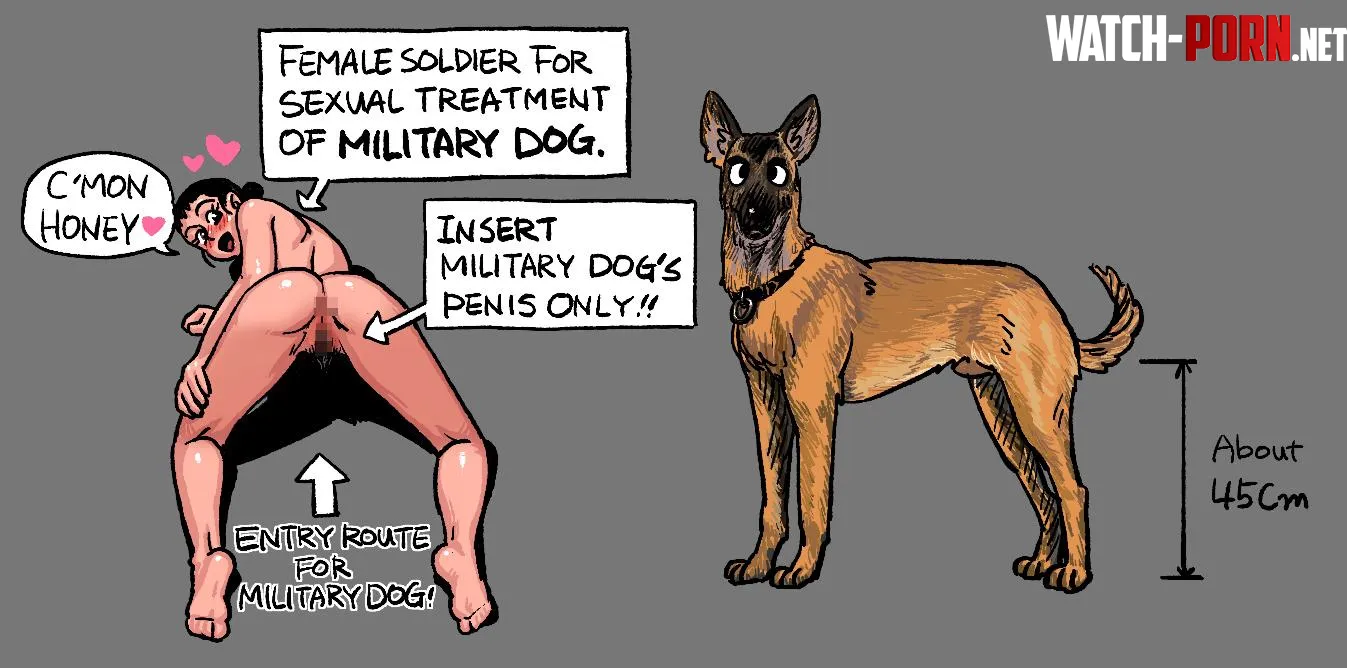 artistgogocherry Female soldiers assigned to military dogs by GOGOCHERRY
