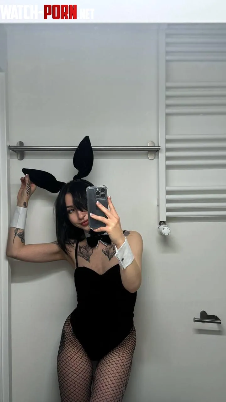 Bunny looking for an owner by hqpcqueen