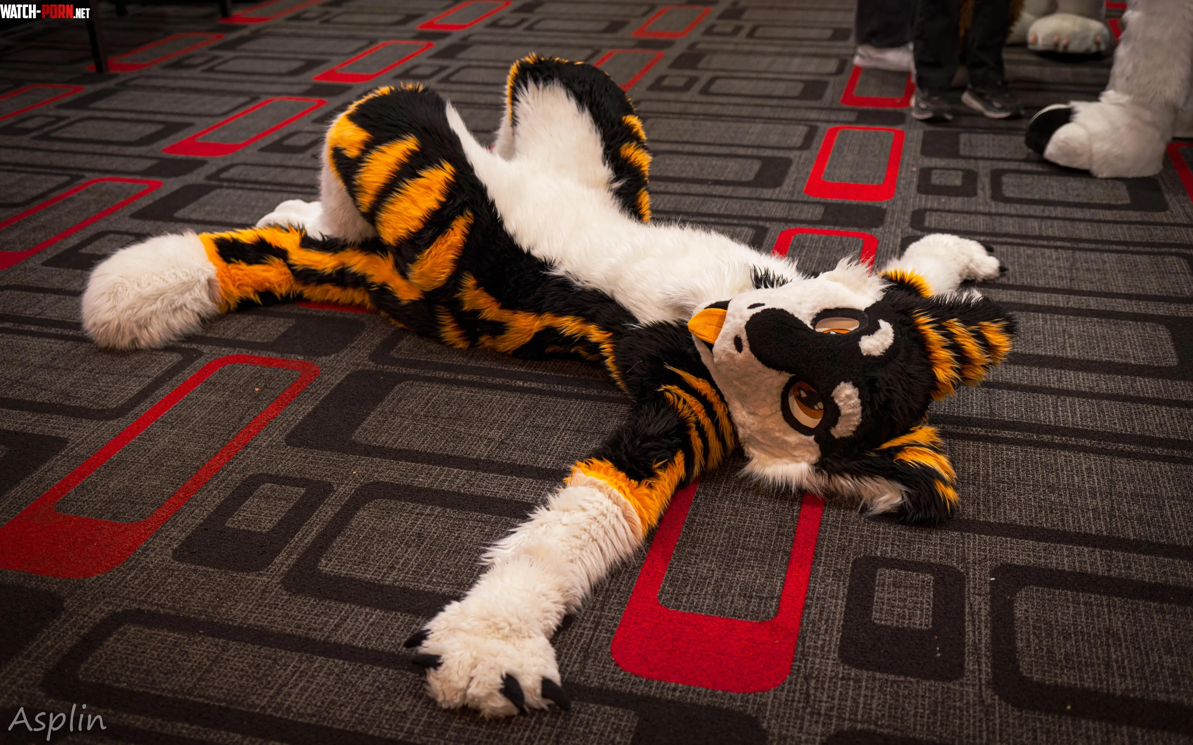 Ima carpet gt by SilySox
