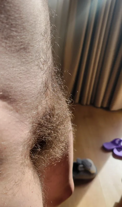 Thumbnail Friday Night Ready: Join plantlife34's Adventure | hairywomenaresexy