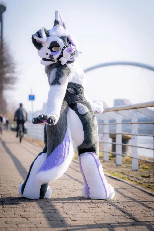 Thumbnail Happy Fursuit Friday - Baileystarpup's Furry Celebration
