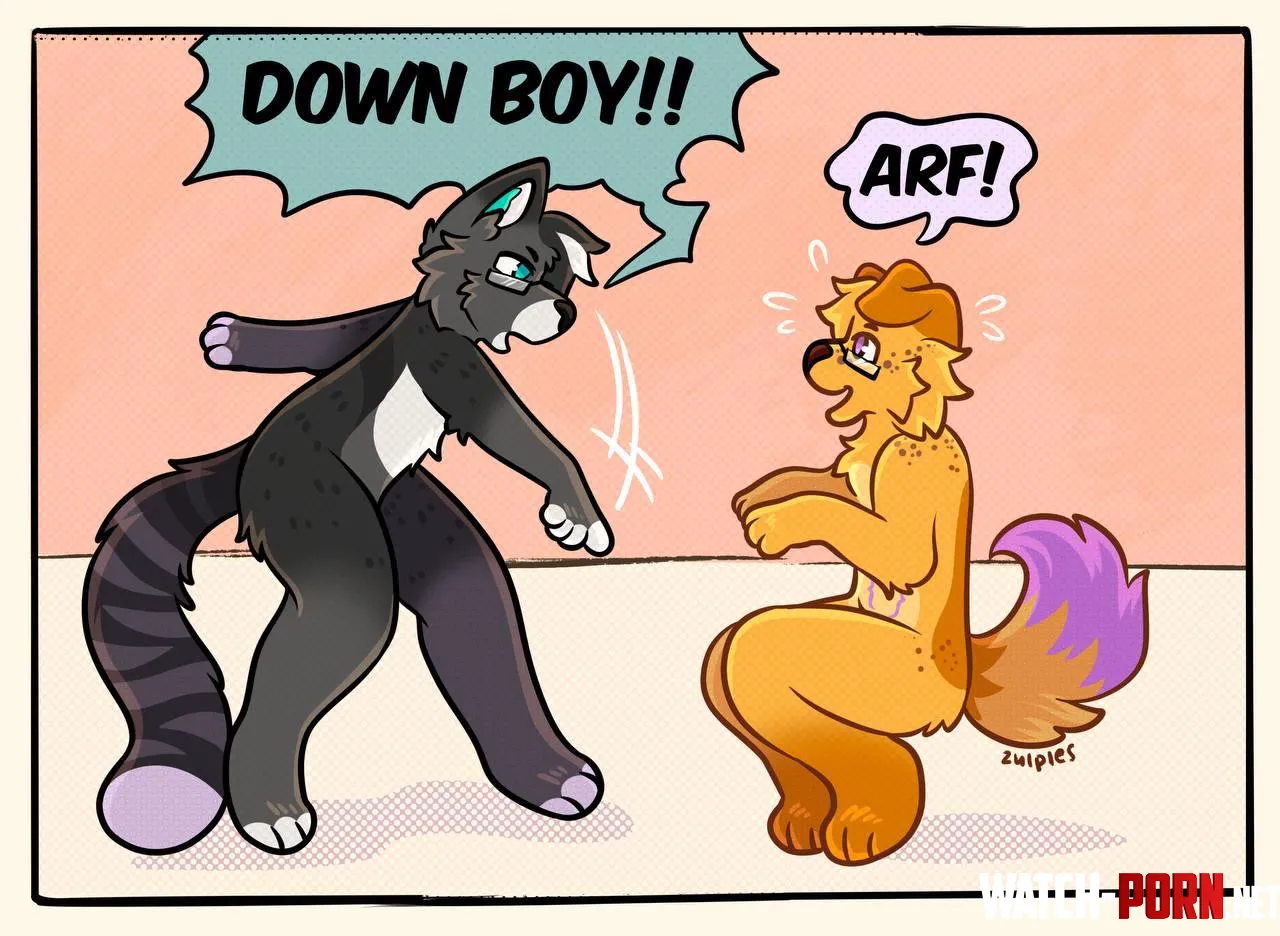 down boy by Cheddaruyy