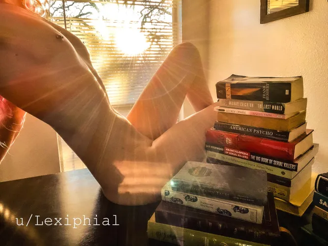 Thumbnail Literary Musings: Exploring Allure with Lexiphial's AA Cups