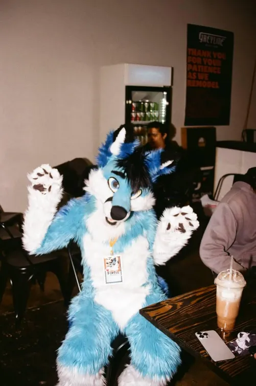 Thumbnail Celebrating Paws Up in the Furry World by spiritofniter