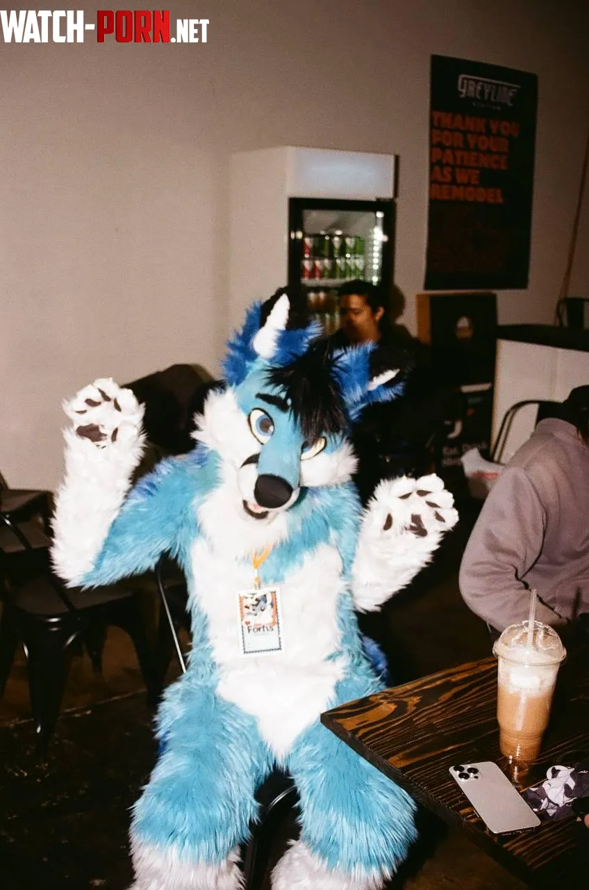 Paws Up by spiritofniter