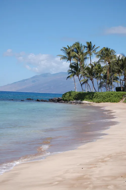 Thumbnail Maui: Embark on a Beach Adventure