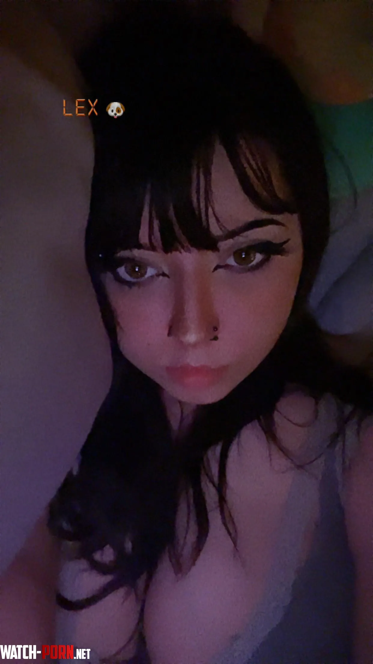 Dropbox half off  new menu hmu for my   by pwuffygutzz
