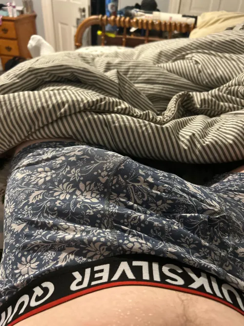 Thumbnail Showcasing Goods: 21 Straight Bulge Display by Itchy_Membership_720 | Bulges