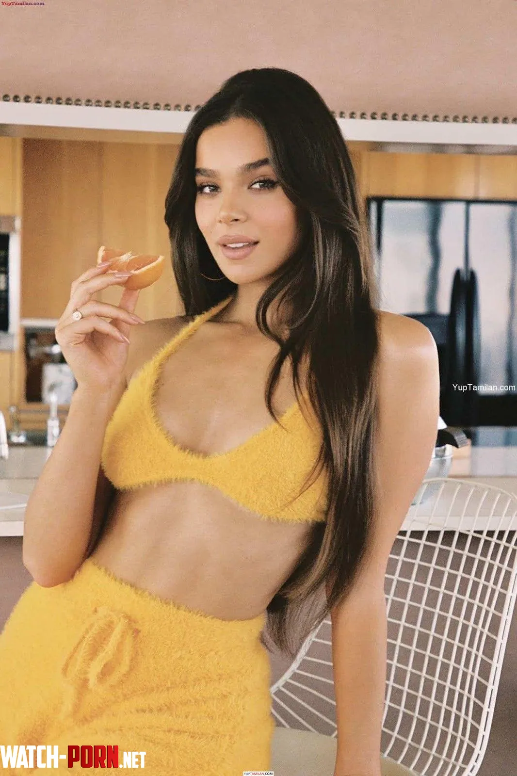 Hailee Steinfeld by Positive-Article-654