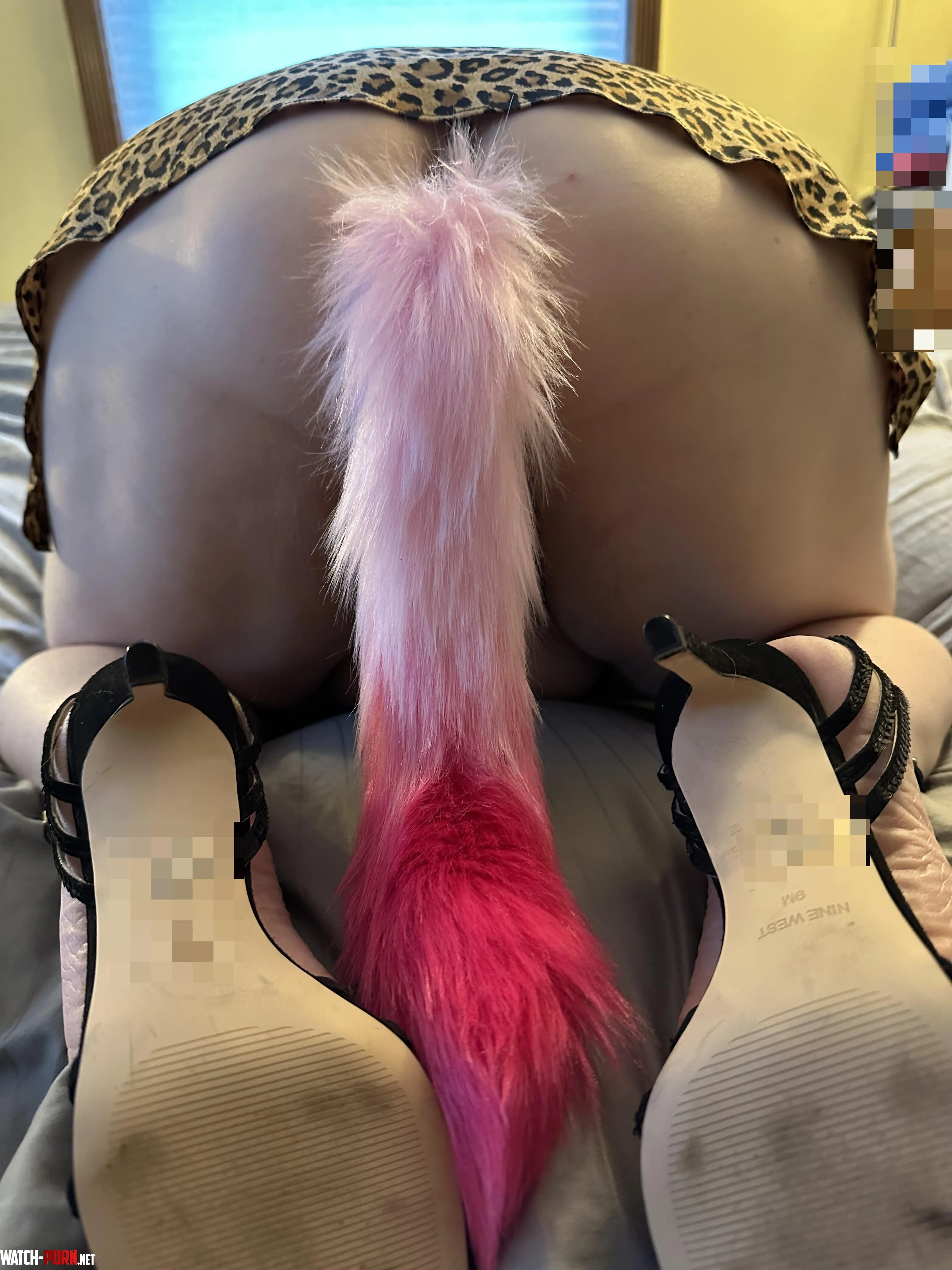 Do you like a tail with your white cheeks by savannahsmithnh
