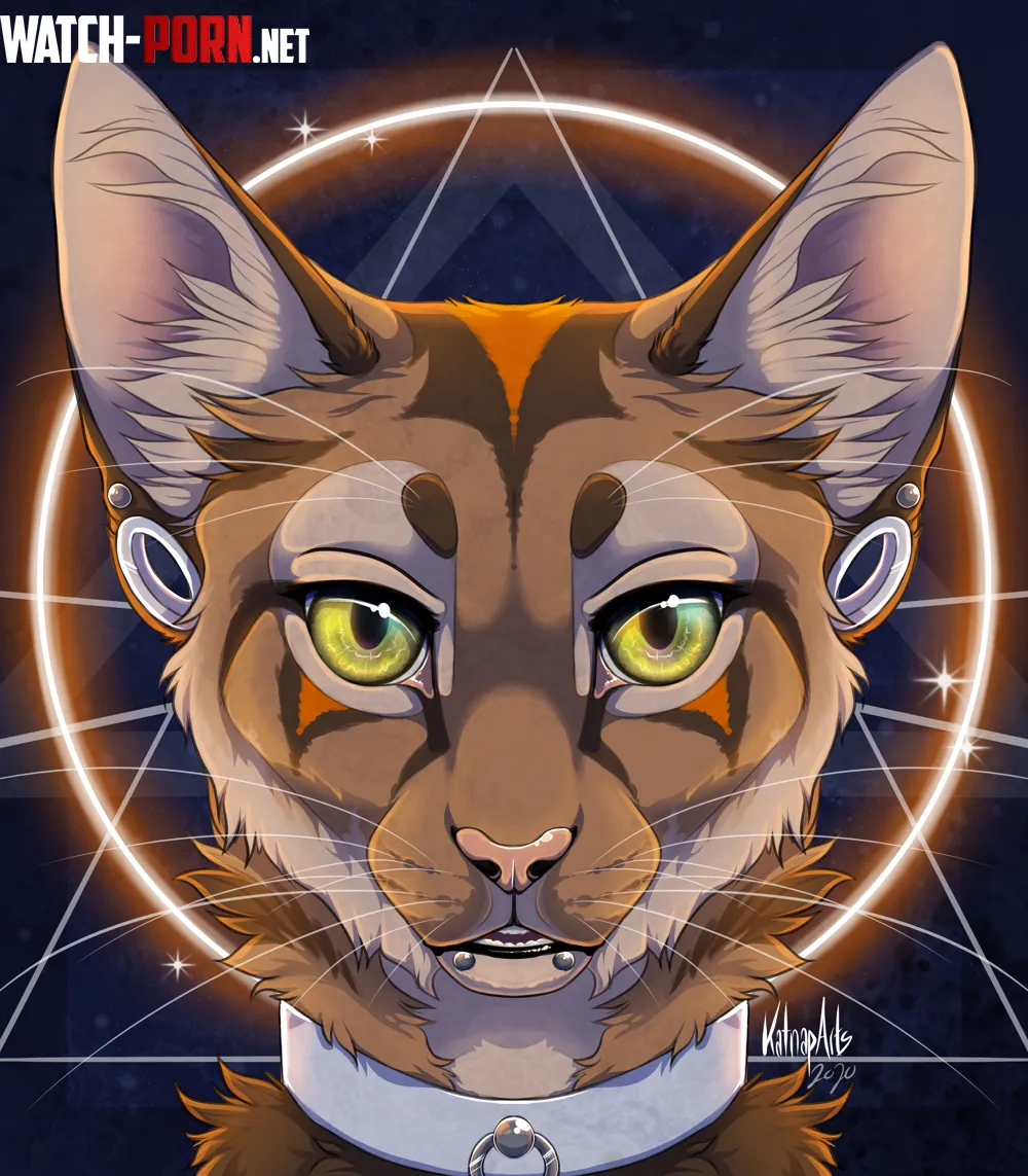 Aligned art by me by Katnap-666