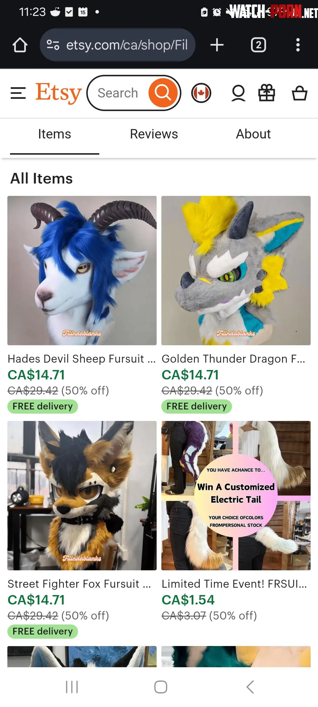 Scam Fursuit shop on Etsy beware by lunelukio