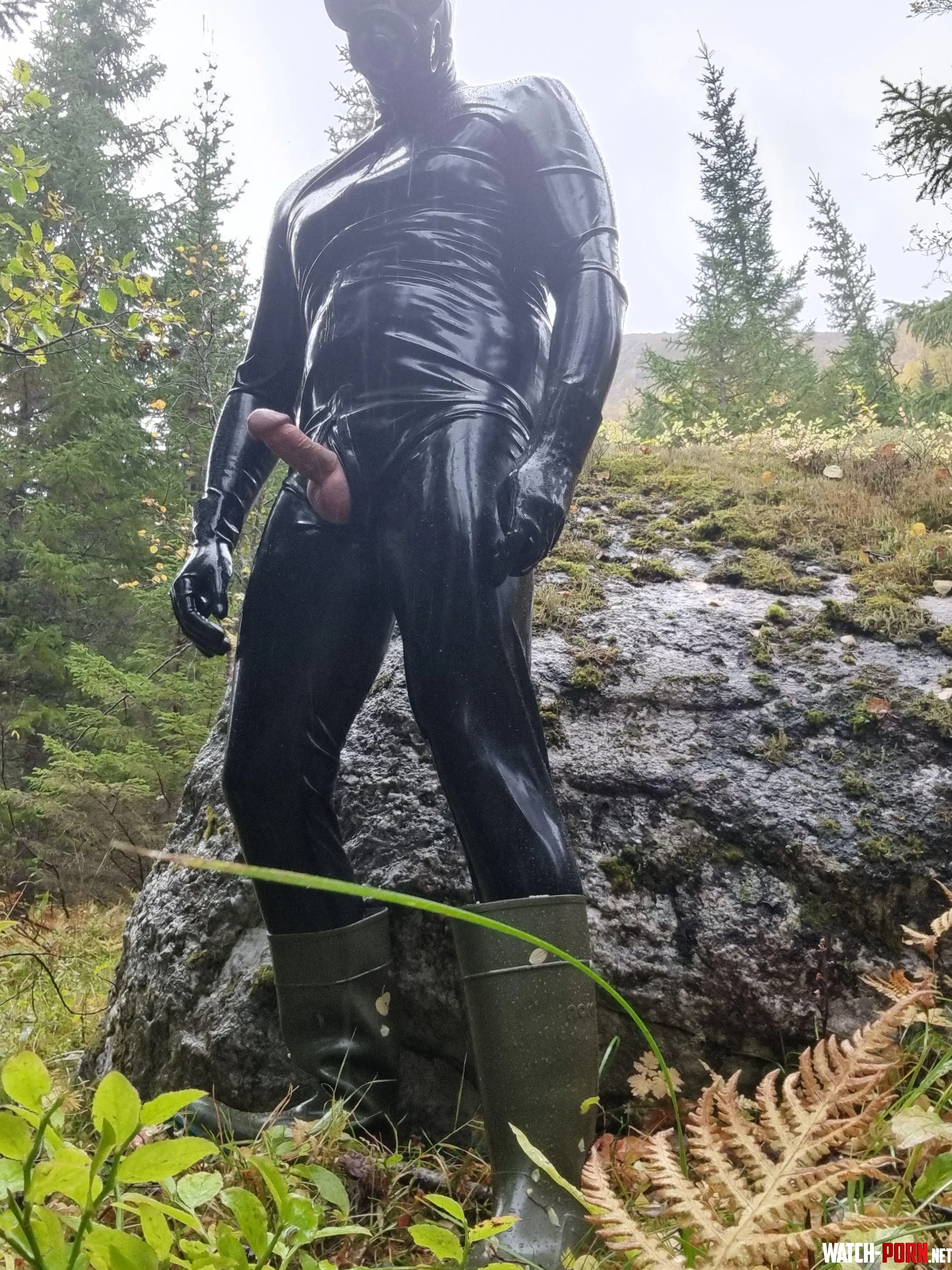 What would you do if you met this creature in the forest by Ok_Nefariousness3154