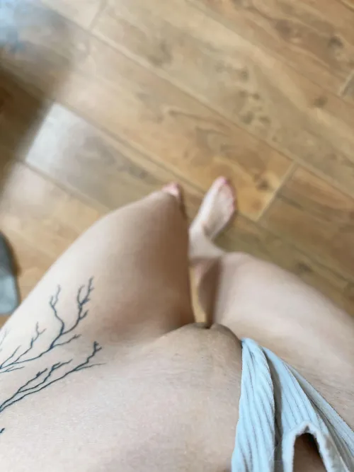 Thumbnail YourBigDickDaddy01 Presents: My Little Mound of Venus
