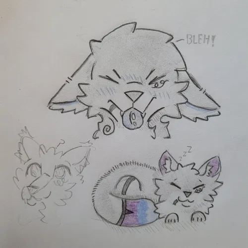 Thumbnail Newcomer with Millie the Maincoon by Celestialstupidity in Furry Category